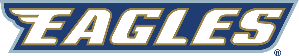 Georgia Southern Eagles 2004-Pres Wordmark Logo diy iron on heat transfer